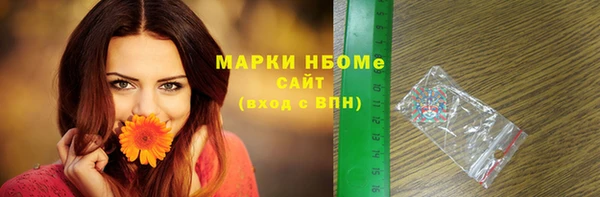 дживик Богородск