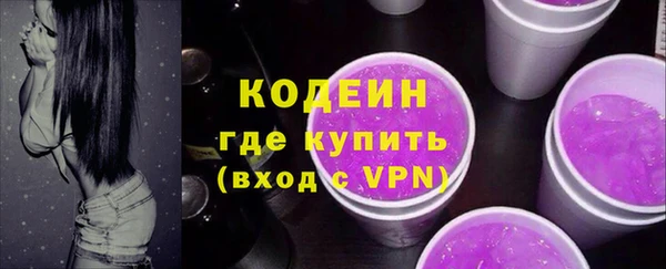 дживик Богородск