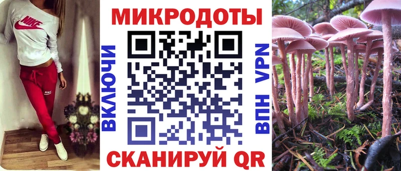 Галлюциногенные грибы прущие грибы гидра ссылки Полтавская